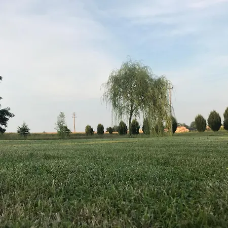 Pepoli *